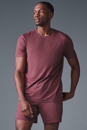 Men Alo Yoga Conquer Reform Crewneck Short Sleeve Burgundy Truffle | India 95304-YRMH